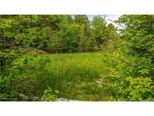 159 Pleasant St, Saint Stephen, NB 