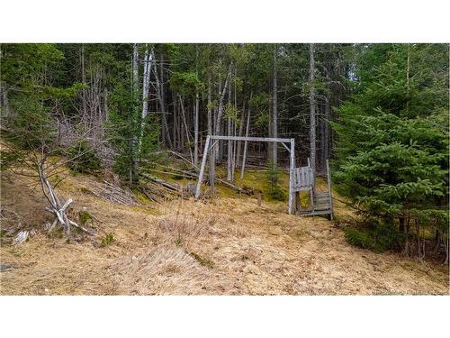 97 Lambert, Lamberts Cove, NB 