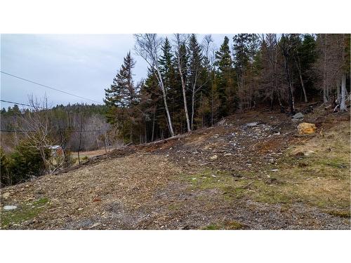 97 Lambert Rd, Lamberts Cove, NB 