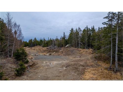 97 Lambert Rd, Lamberts Cove, NB 