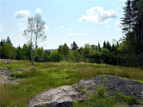 Lot Spruce Lane, Damascus, NB 