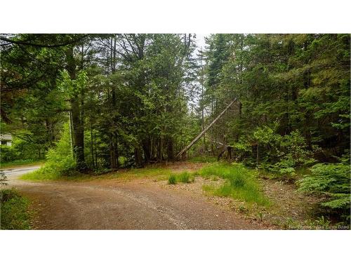 172 Lily Hill Rd, Oak Bay, NB 