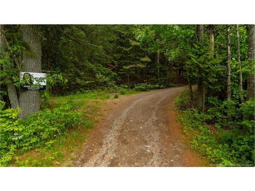 172 Lily Hill Rd, Oak Bay, NB 