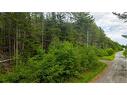 172 Lily Hill Rd, Oak Bay, NB 