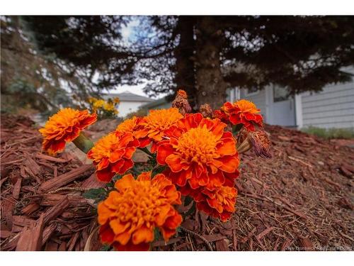 27 Maxwell Dr, Sussex, NB 