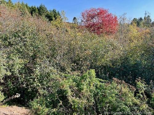 N/A Charles St, Saint John, NB 