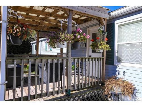 17 Sheps Lane, Salt Springs, NB 