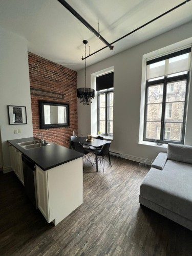 Living Room - 303-433 Rue Ste-Hélène, Montréal (Ville-Marie), QC - Indoor