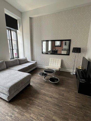 Living Room - 303-433 Rue Ste-Hélène, Montréal (Ville-Marie), QC - Indoor Photo Showing Other Room