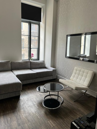 Living Room - 303-433 Rue Ste-Hélène, Montréal (Ville-Marie), QC - Indoor Photo Showing Living Room