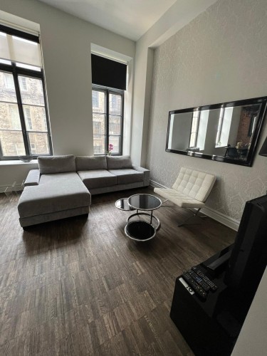 Living Room - 303-433 Rue Ste-Hélène, Montréal (Ville-Marie), QC - Indoor Photo Showing Living Room