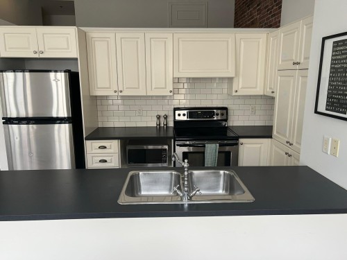 Kitchen - 303-433 Rue Ste-Hélène, Montréal (Ville-Marie), QC - Indoor Photo Showing Kitchen With Double Sink