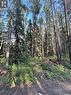 5.22 Acre Lot, Hudson Bay Rm No. 394, SK 