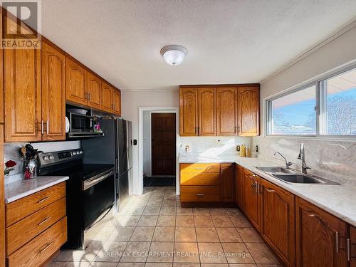 22 Gildea Street, Hamilton, ON - Indoor Photo Showing Kitchen With Double Sink