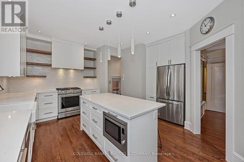 62 Powell Avenue, Ottawa, ON - Indoor Photo Showing Kitchen With Upgraded Kitchen