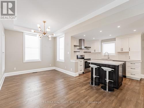 224 Duke Street, Hamilton, ON - Indoor Photo Showing Kitchen With Upgraded Kitchen
