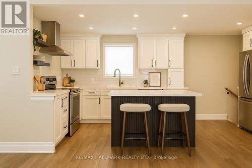 224 Duke Street, Hamilton, ON - Indoor Photo Showing Kitchen With Stainless Steel Kitchen With Upgraded Kitchen