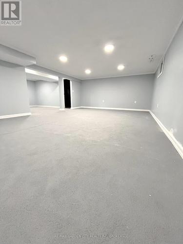 611 Clare Avenue, Welland (N. Welland), ON - Indoor Photo Showing Basement