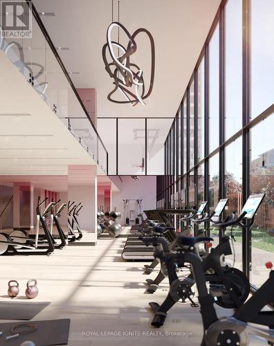 503 N - 120 Broadway Avenue, Toronto, ON - Indoor Photo Showing Gym Room