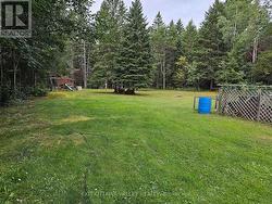 Summer photo - back lawn - 