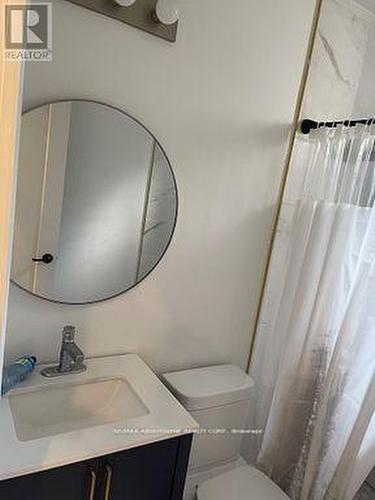 66 Wellington Street S, Hamilton, ON - Indoor Photo Showing Bathroom