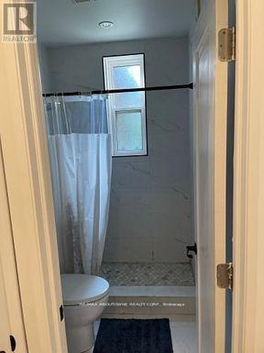 66 Wellington Street S, Hamilton, ON - Indoor Photo Showing Bathroom