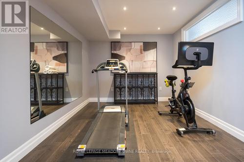 separate gym - 20 - 485 Pringle Avenue, Milton, ON - Indoor Photo Showing Gym Room