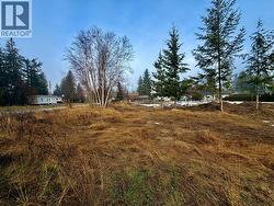 719 Parksville Street  Sicamous, BC V0E 2V0