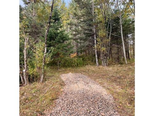 3335 358 Highway, Arlington, NS 