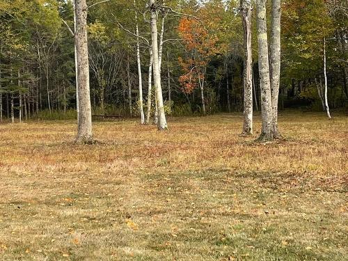 3335 358 Highway, Arlington, NS 