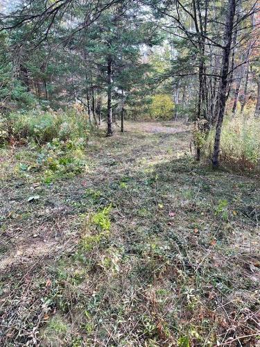 3335 358 Highway, Arlington, NS 