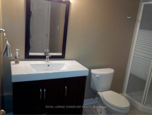 Basement-6359 Plowmans Heath N/A, Mississauga, ON - Indoor Photo Showing Bathroom