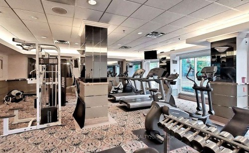 206-18 Hollywood Avenue, Toronto, ON - Indoor Photo Showing Gym Room