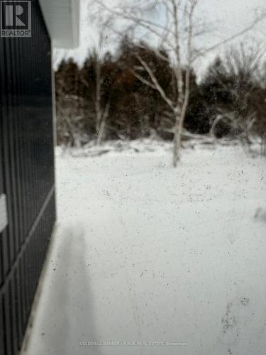 23 Blythe Shore Road, Kawartha Lakes (Fenelon), ON - Outdoor