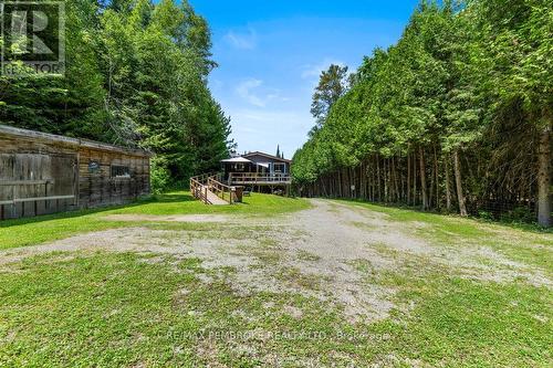 194 Klondike Road, Bonnechere Valley, ON - Outdoor