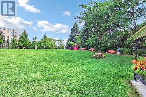 205 - 309 Major Mackenzie Drive, Richmond Hill, ON - Outdoor