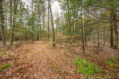 Wooded area - 2886 10E Rang, Dunham, QC 
