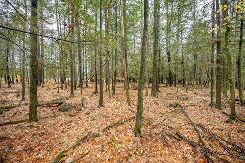 Wooded area - 2886 10E Rang, Dunham, QC 