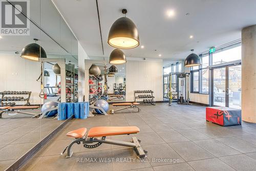 Th11 - 30 Ed Clark Gardens Boulevard, Toronto, ON - Indoor Photo Showing Gym Room