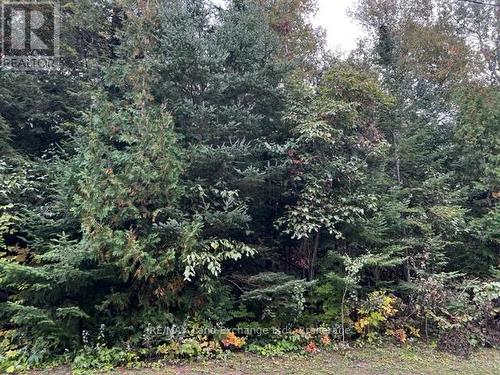 5 Shore Road, Saugeen Shores, ON 