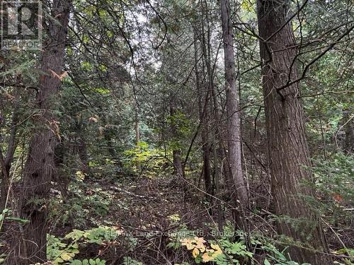 5 Shore Road, Saugeen Shores, ON 