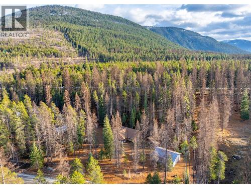 7349 Majestic Road, Kingsgate, BC - Outdoor With View