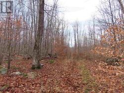 Lot 17 Concession S  Hilton, ON P0R 1G0