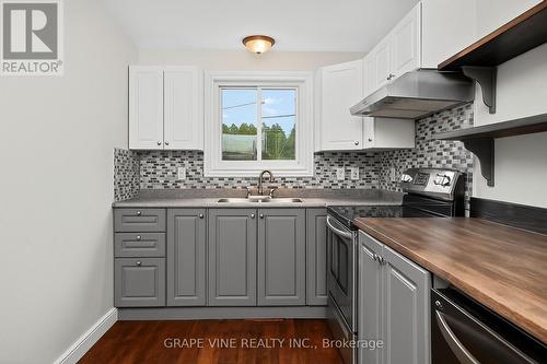 179 Victoria Street, Mississippi Mills, ON - Indoor Photo Showing Kitchen With Double Sink