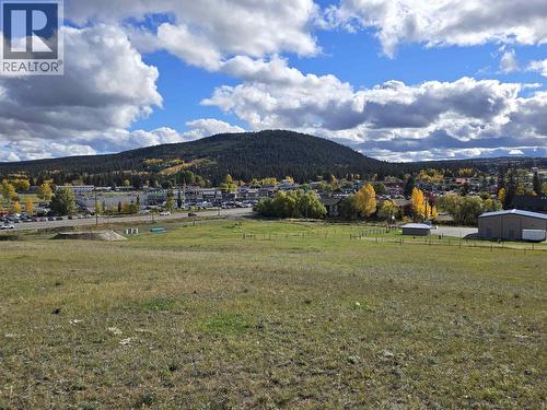 Lot 3 Cariboo 97 Highway, 100 Mile House, BC 