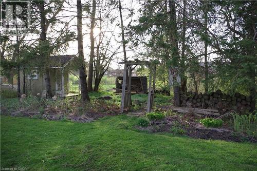 View of green lawn - 425 Wellington Street E, Mount Forest, ON - Outdoor