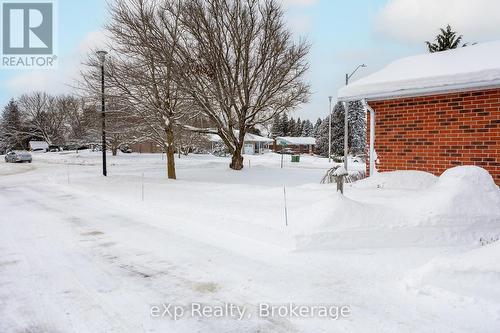 103 Margaret Elizabeth Avenue, Grey Highlands, ON - Outdoor With View