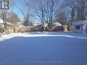 Large Backyard - 560 John Street N, Gravenhurst (Muskoka (S)), ON  - Outdoor 