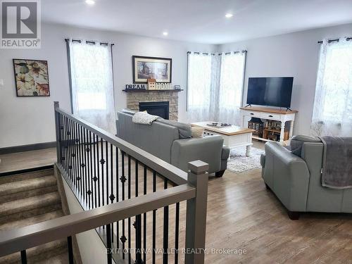 1485 Rapid Road, Whitewater Region, ON - Indoor Photo Showing Living Room With Fireplace
