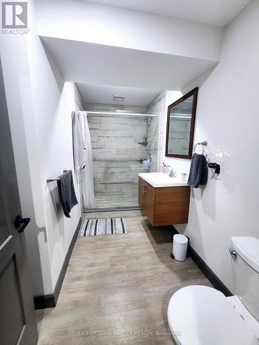 Basement Bath - 1485 Rapid Road, Whitewater Region, ON - Indoor Photo Showing Bathroom
